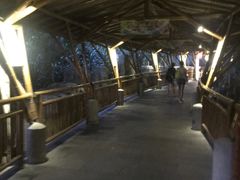 -海口观澜湖火山温泉谷