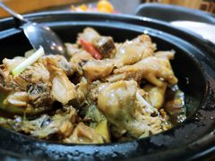 -宋小谨(惠安禹洲店)