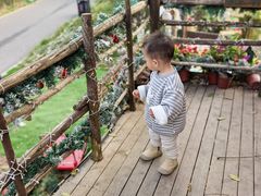 -HERRE·FARM 赫尔露营农场·团建聚会包场