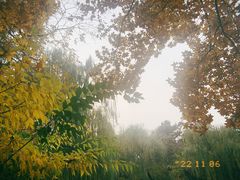 -颐和园