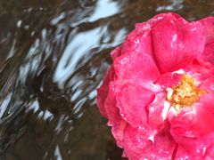 -碧水湾温泉