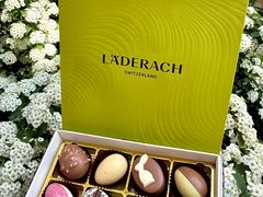 -Laderach 莱德拉(上海环贸iapm店)