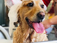 -PETKIT小佩宠物(古北店)