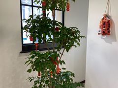 -乔家栅(襄阳南路店)