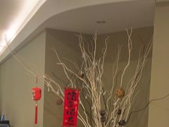 -瑞尔齿科(时代诊所)