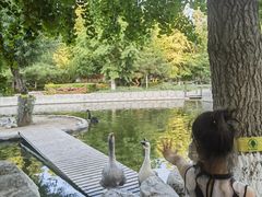 -北京市海淀外国语实验学校