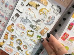 -猫的天空之城概念书店(束河店)