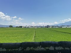 -喜林苑·稻田餐厅(品相府店)