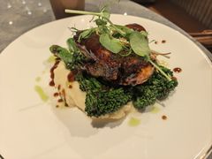 -Elephant Grounds(STARSTREET)