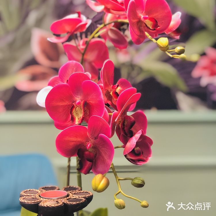 魂穿泰国的冬阴功 答应我一定要试试!
