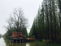 -上海怡沁园度假酒店