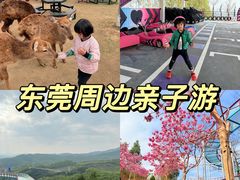 -盈香心动乐园