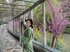 -南汇桃花村