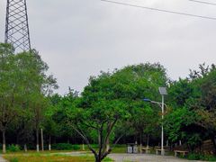 -桃苑公园