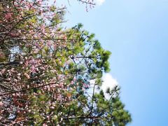 -白塘生态植物园