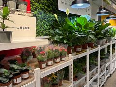 -宜家家居(西安未央商场店)