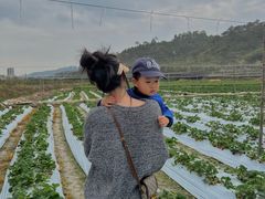 -惠州金海湾嘉华度假酒店
