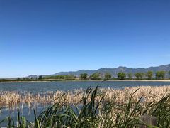 -野鸭湖国家湿地公园