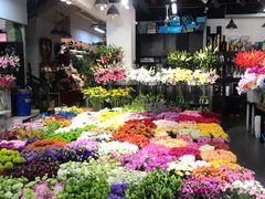 -双季花艺园艺市场(浦东店)