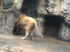 -南昌动物园