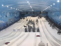 -世界之窗阿尔卑斯冰雪世界