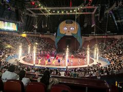 -俄罗斯国家大马戏团