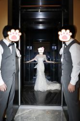 -MuseMarry婚纱(前海嘉里中心店)