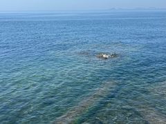 -银沙滩浴场