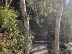 -白草畔自然风景区