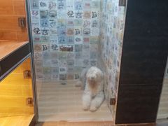 -宠物之家Pets Home 宠物寄养酒店