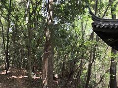 -杭州半山国家森林公园