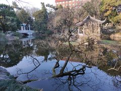 -叶家花园