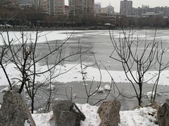 -文瀛公园