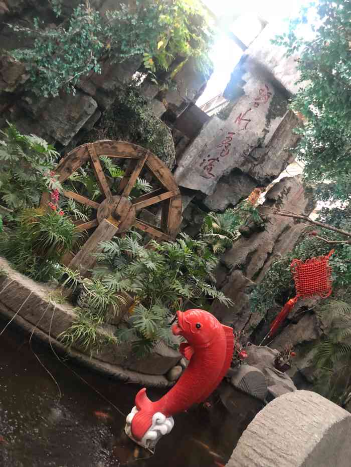 阳光绿岛生态酒店-"环境很好 饭菜味道一般 和老人一起的.
