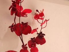-客语客家菜(琶洲保利店)