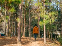 -南京市无想山景区