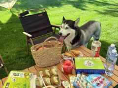 -爪吧宠物乐园 (温榆河示范区店)