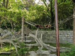 -上海野生动物园