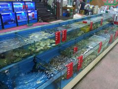 -阳光海鲜大排档