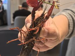 -星伦多自助料理·涮烤一体(奉贤龙湖天街店)
