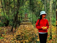 -五营红松林海景区