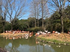 -上海野生动物园