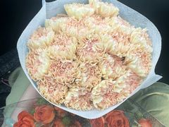 -花鸟鱼虫鲜花绿植市场(玉泉路店)