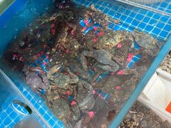 -宾朋海鲜特色美食餐厅·纯手工鲅鱼水饺(兴海路店)