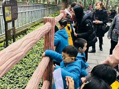 -才儿坊幼儿园(重庆金科廊桥校区)