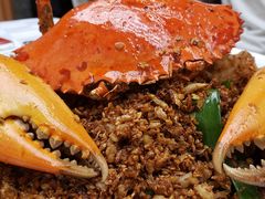 -喜记避风塘炒辣蟹(旗舰店)