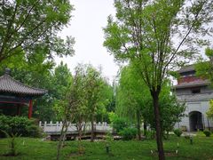 -武清南湖绿博园