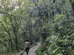 -杭州半山国家森林公园