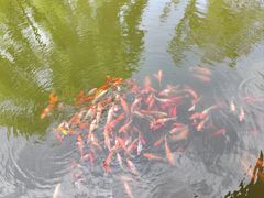 -太白山御龙湾温泉