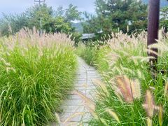 -北京中信金陵酒店